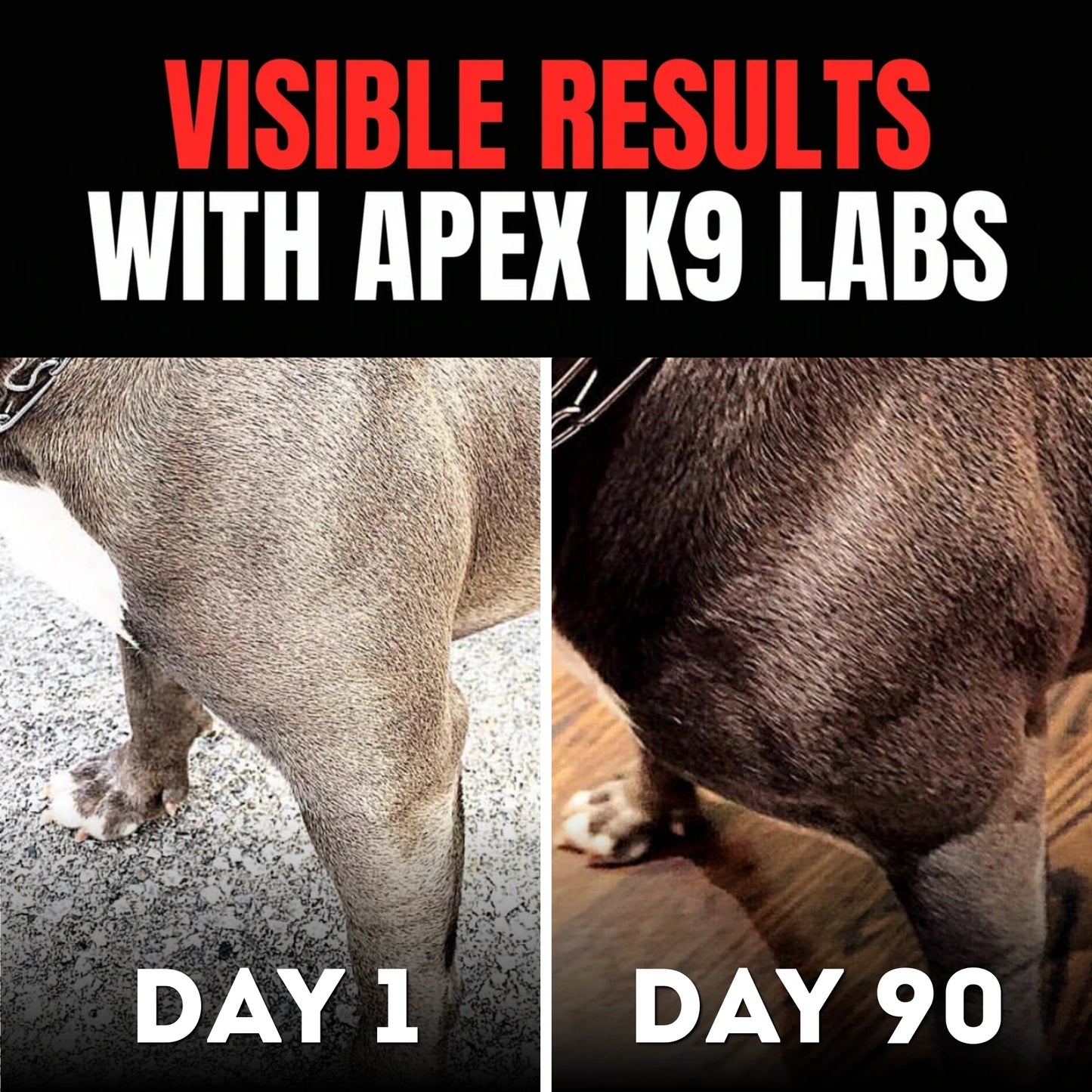 Performance Muscle Chews
