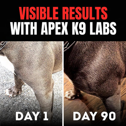 Performance Muscle Chews